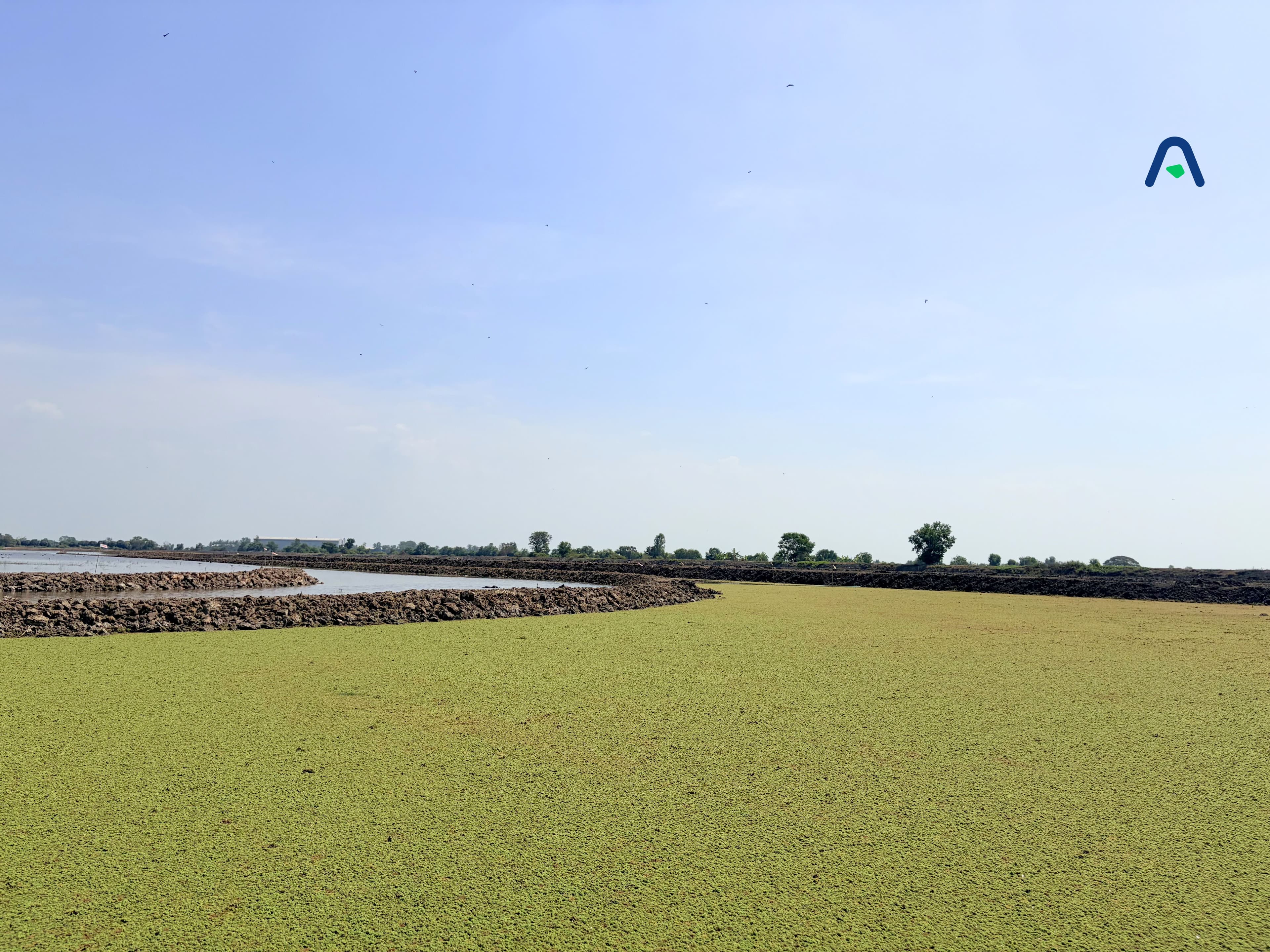 พื้นที่สีเขียวแห่งแรก